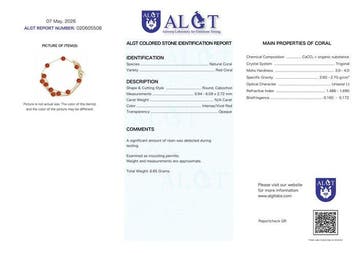 Geen reserve - ALGT gecertificeerd - Natuurlijke