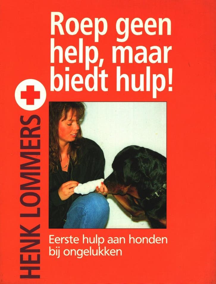 ROEP GEEN HELP, MAAR BIEDT HULP ! 9789052661353 H. Lommers, Boeken, Hobby en Vrije tijd, Gelezen, Verzenden