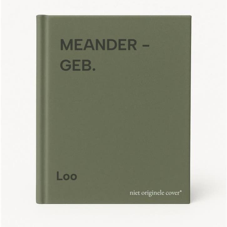 MEANDER - GEB. 9789029528962 Loo, Livres, Romans, Envoi