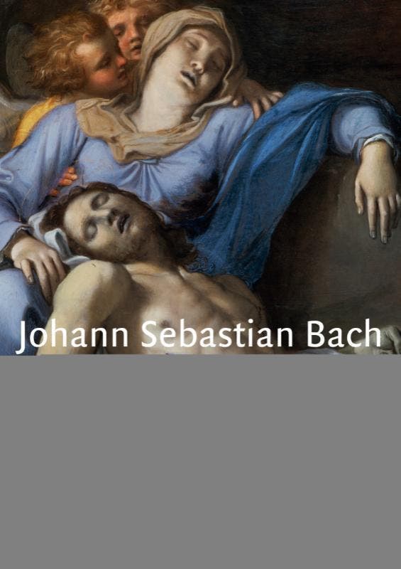 Mattheuspassie 9789038863474 J.S. Bach, Boeken, Muziek, Gelezen, Verzenden
