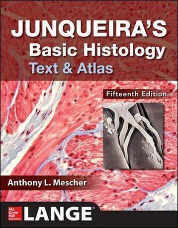 Junqueiras Basic Histology 9781260026177 AnthonyL Mescher, Boeken, Verzenden, Zo goed als nieuw, AnthonyL Mescher