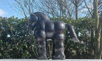 naar fernando botero - Sculpture, bijzondere bronzen paard -