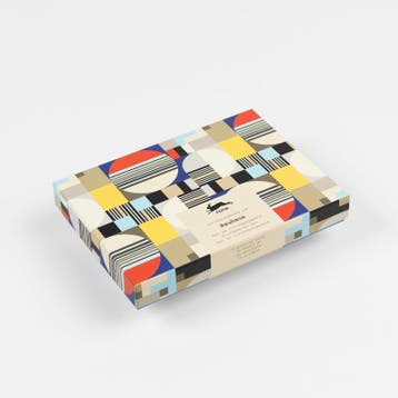 Bauhaus | Pepin Roojen | Nieuw, Boeken, Verzenden, Nieuw, Pepin Roojen
