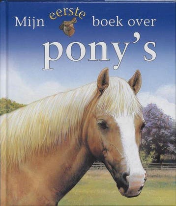 Mijn Eerste Boek Over Pony's - Budd, Verzenden, Nieuw