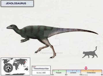 Dinosaurus - Fossiel skelet - Jeholosaurus - 63 cm - 13 cm