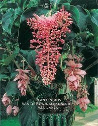 Plantengids voor de Koninklijke Serres van Laken / Ludion, Verzenden, Paul Geerts