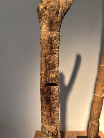 Échelles votives très archaïques - Dogon - Mali (Sans prix