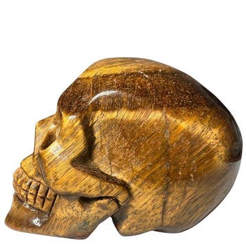 Premium tijgeroog-schedel Gravure - Hoogte: 50 mm - Breedte: