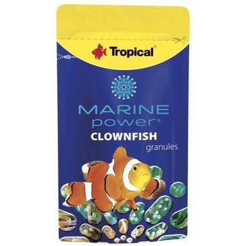 Tropical Marine Power Clownfish 15gr., Dieren en Toebehoren