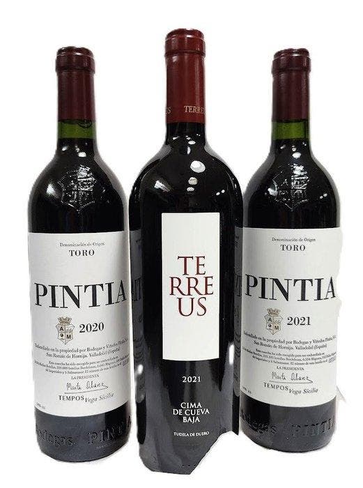 2021 Bodegas Mauro, Terreus Paraje de Cueva Baja & 2020,, Verzamelen, Wijnen