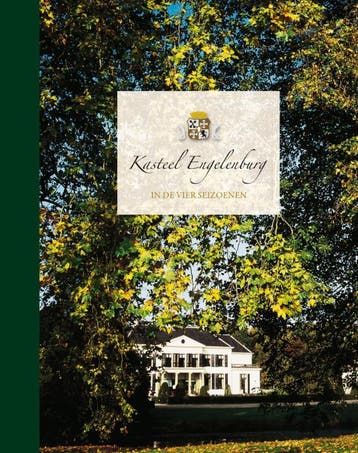 Kasteel Engelenburg 9789020976779 O. Kleyn, Verzenden, Zo goed als nieuw, O. Kleyn