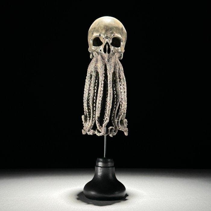 Octopus-schedel sculptuur Schedel - - - 32 cm - 12 cm - 12, Antiquités & Art, Curiosités & Brocante