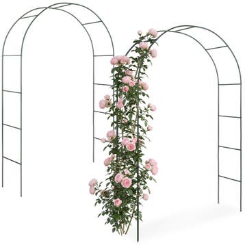 2 Rozenbogen - groen, Tuin en Terras, Verzenden, Nieuw