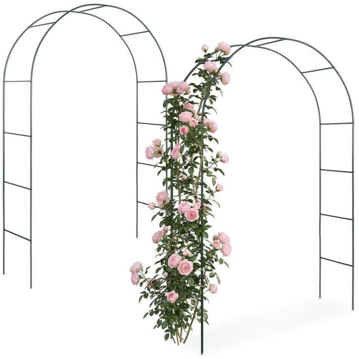 2 Rozenbogen - groen, Jardin & Terrasse, Jardin & Terrasse Autre, Envoi