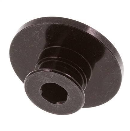 G Embout femelle 1/8 en aluminium pour ventouse DN 6.3 SW, Doe-het-zelf en Bouw, Ventilatie en Afzuiging, Verzenden