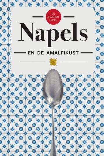 De zilveren lepel - Napels en de Amalfikust 9789000355679, Boeken, Verzenden, Gelezen