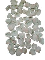 Chippy Pastel schelpen Groen washed 1 kilo, Nieuw