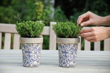Bloempot (2) - Keramiek - Verouderde keramiek