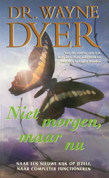 Niet morgen, maar nu 9789022983782 W.W. Dyer, Verzenden, Gelezen, W.W. Dyer