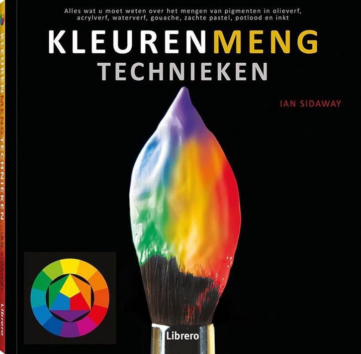 Kleurenmengtechnieken 9789089987419 Ian Sidaway, Livres, Loisirs & Temps libre, Envoi