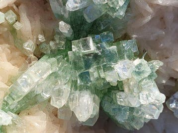 Zeldzame groene apophylliet disco-bal kristallen op witte
