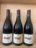 2022 Domaine Stéphane Ogier : Saint-Joseph Le Passage, Syrah, Nieuw