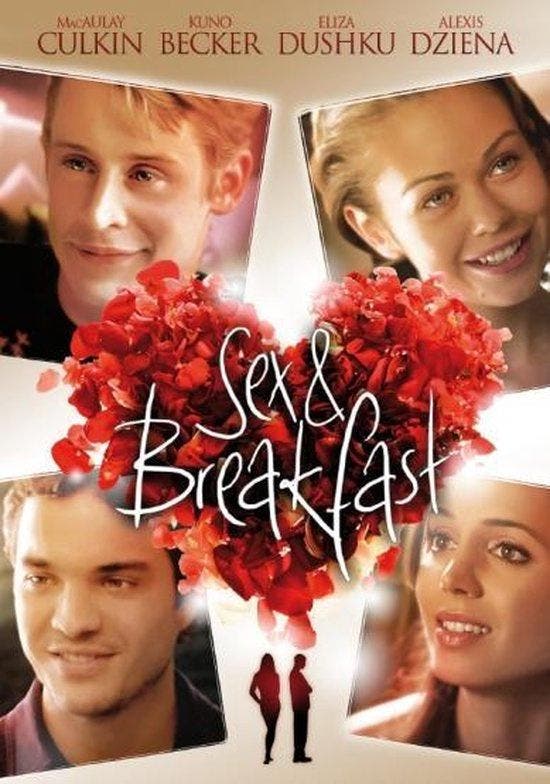 Sex and Breakfast (dvd tweedehands film), CD & DVD, DVD | Action, Enlèvement ou Envoi