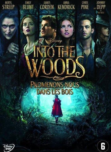 Into The Woods, CD & DVD, DVD | Science-Fiction & Fantasy, Verzenden, Fantasy