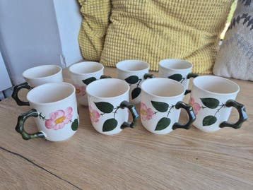 Villeroy & Boch - Bekerglas (8) - Wild-Rose, Wildrose -