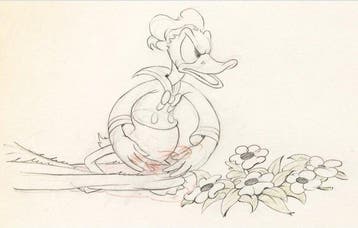 Walt Disney - 1 Original preliminary drawing - Donald Duck -, Verzamelen, Nieuw