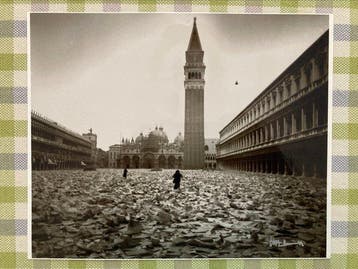 Ha Schult - Venezia vive, Piazza San Marco