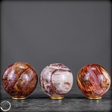 Exclusieve set van versteend hout uit Madagaskar – Tijdloze