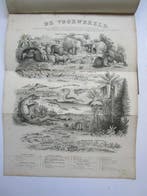 Dr. J. H. van den Broek - Atlas van de belangrijkste plant-