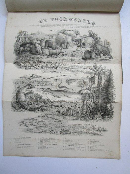 Dr. J. H. van den Broek - Atlas van de belangrijkste plant-, Antiek en Kunst, Antiek | Boeken en Manuscripten