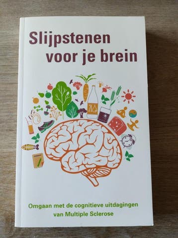 Slijpstenen voor je brein - Omgaan met de cognitieve, Verzenden, Zo goed als nieuw, Jeffrey Gingold