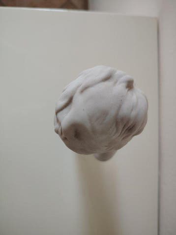 Tharaud - Buste, Busto di ragazzo - 20 cm - Biscuit, Antiek en Kunst