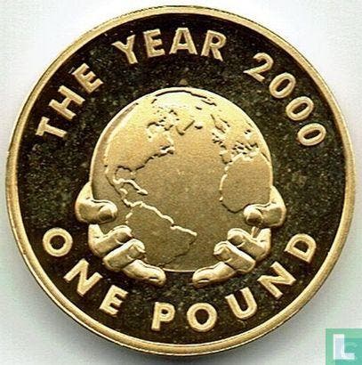 Guernsey 1 pound 2000 (PROOF) Year 2000, Timbres & Monnaies, Monnaies | Europe | Monnaies non-euro, Envoi