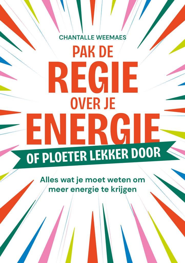 Pak de regie over je energie 9789461266514 Chantalle Weemaes, Livres, Économie, Management & Marketing, Envoi