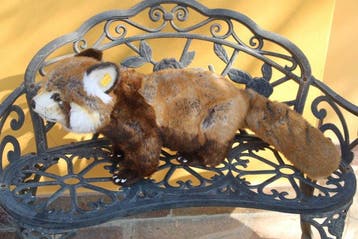Steiff: Studio Rode Panda, EAN 120039 - Pluche dier -