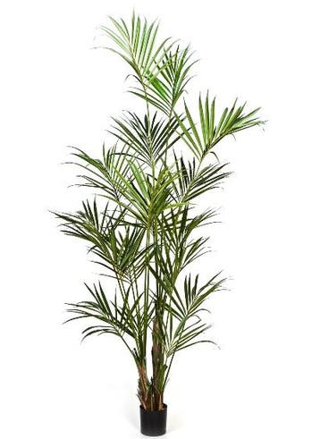 Kunstplant Kentia Palmboom Deluxe 260 cm, Verzenden