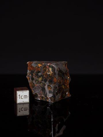 Météorite de Sericho Pallasites - 49 g - (1)