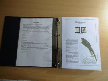 België 2007 - Verzameling Buzin ( Gierzwaluw )op, Gestempeld