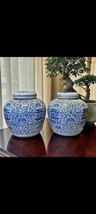 Paar Chinese gemberpotten blauw-wit – dubbel geluk -