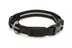 LED Halsband ZWART, Dieren en Toebehoren, Verzenden, Nieuw