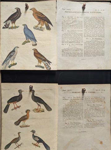 Bilderbuch für Kinder, Band XI - 1824