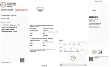 Ring - 18 karaat Witgoud - 1.23ct. tw. Diamant (Natuurlijk), Nieuw