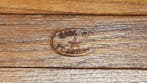 Nevco - Tabouret - Tabouret de camping pliant - Bois, Métal