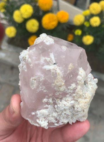 Roze morganietkristal combineren met cleavelandiet. Kristal