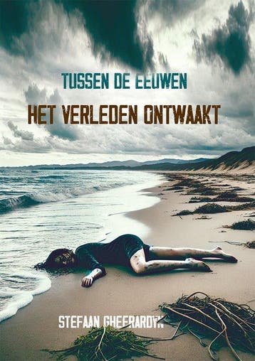 Tussen de eeuwen: Het verleden ontwaakt 9789460797675, Verzenden, Stefaan Gheerardyn