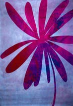 Lupo - Urban Jungle 428 - Certificated - SILVER - XXL